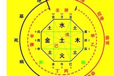 八字評分|生辰八字算命、五行喜用神查询（免费测算）